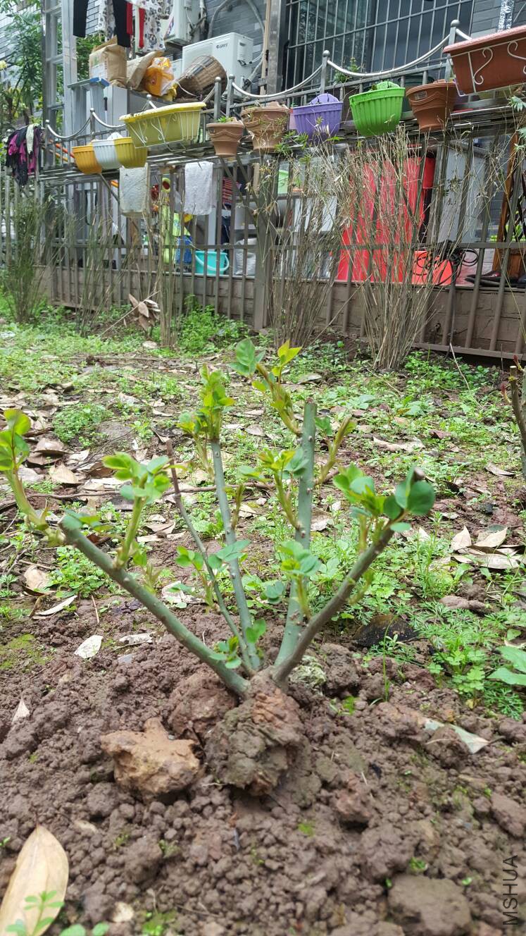 121400spxof44ouyib8445.jpg