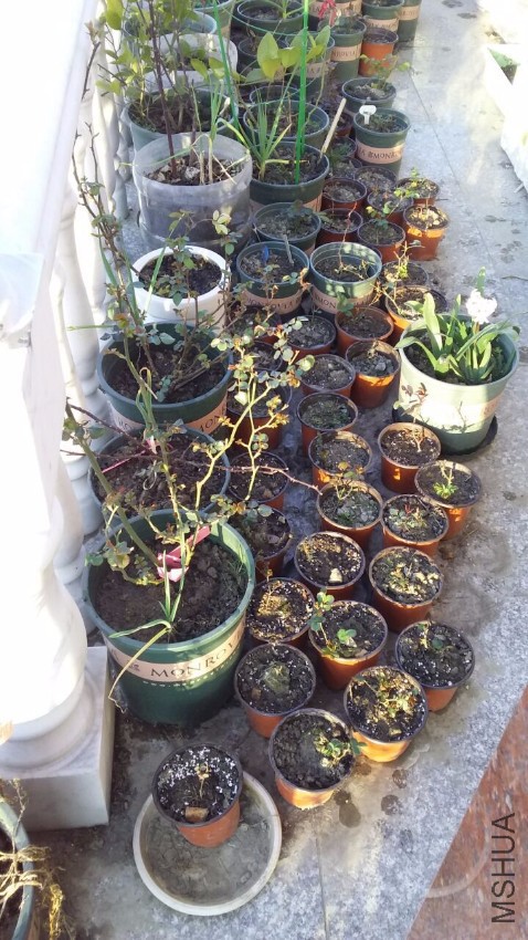 QQͼƬ20170309122142.jpg