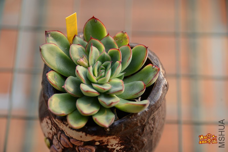 ��Ƭ 590_����.jpg