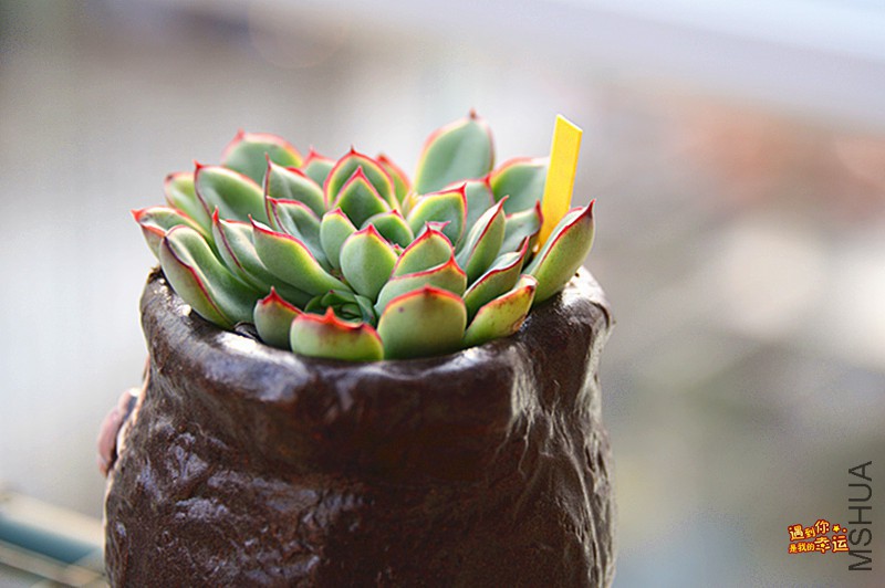 ��Ƭ 593_����.jpg