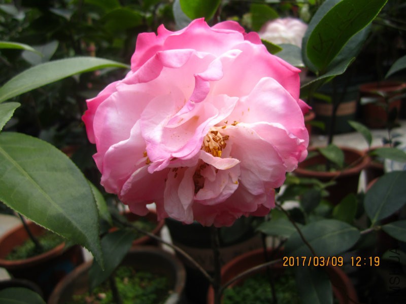 IMG_8738.JPG