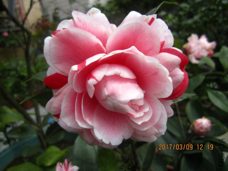 IMG_8741.JPG