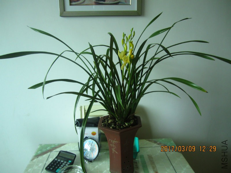 IMG_8744.JPG