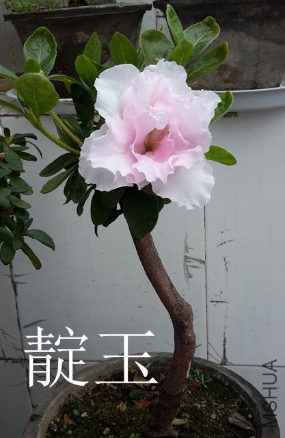 20170305_124729_����.jpg