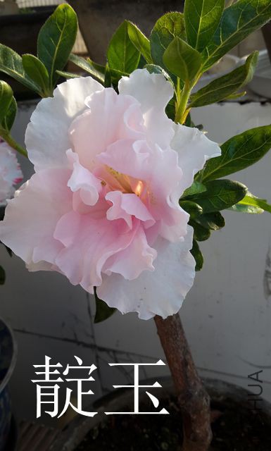 20170307_081531_����.jpg