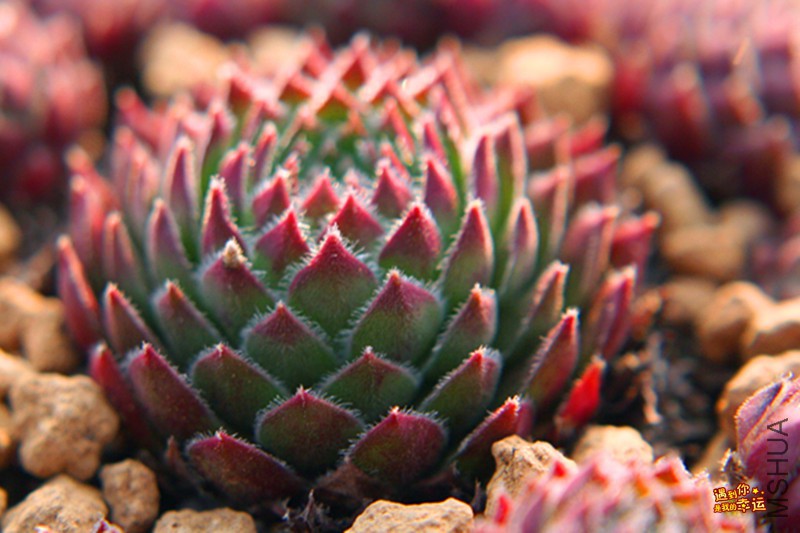 ��Ƭ 272_����.jpg