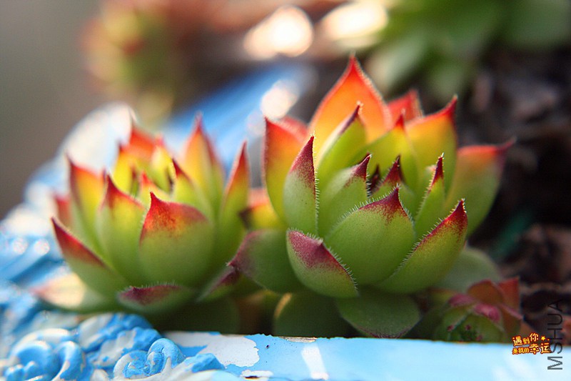 ��Ƭ 273_����.jpg