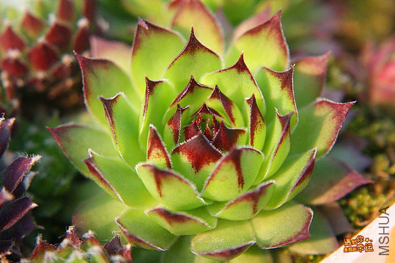 ��Ƭ 277_����.jpg