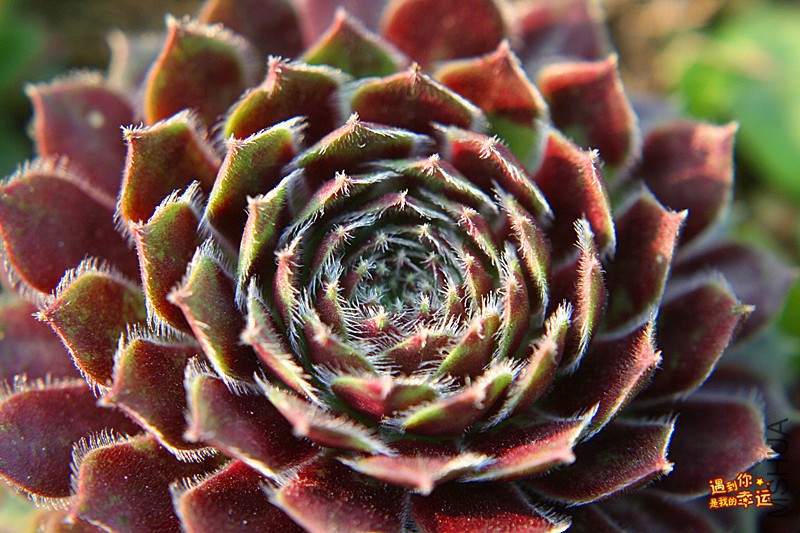 ��Ƭ 281_����.jpg