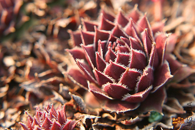 ��Ƭ 282_����.jpg