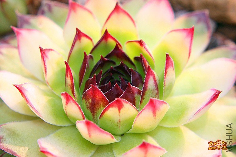 ��Ƭ 285_����.jpg