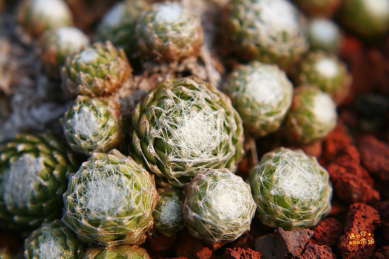 ��Ƭ 289_����.jpg