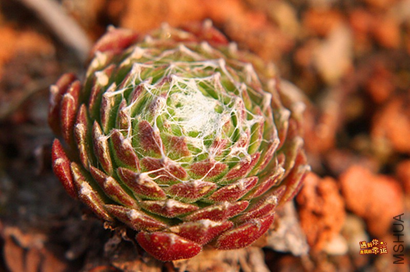 ��Ƭ 286_����.jpg