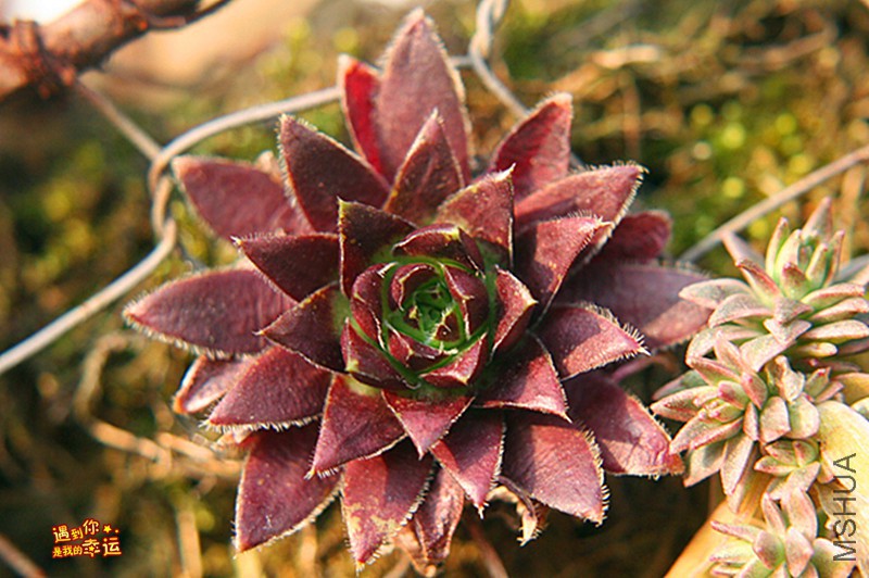 ��Ƭ 301_����.jpg