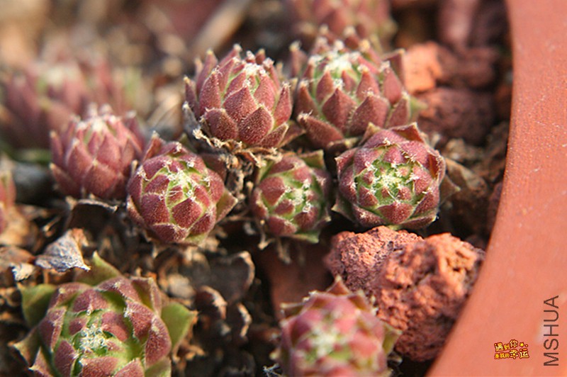 ��Ƭ 292_����.jpg