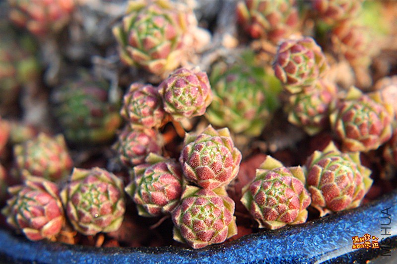 ��Ƭ 294_����.jpg