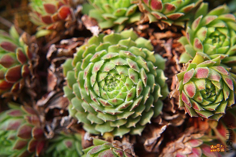 ��Ƭ 299_����.jpg