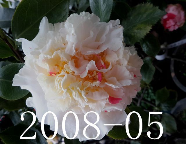 20170311_091156_����.jpg