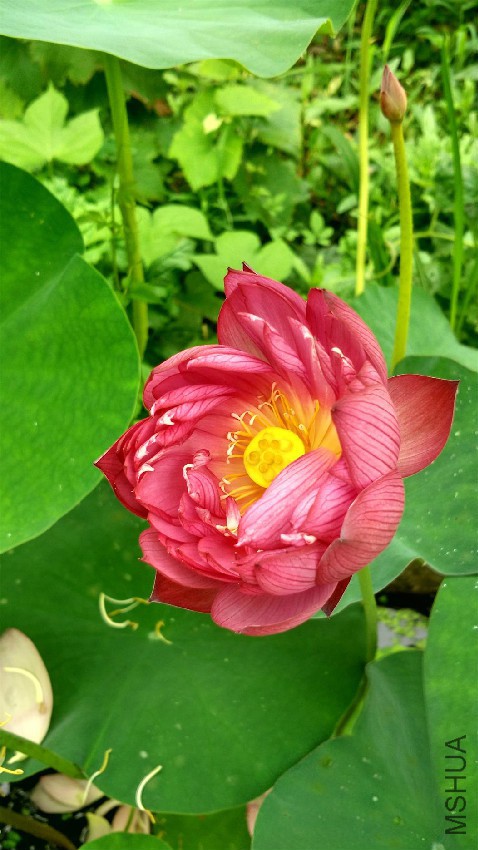 IMG_20160714_093039_HDR.jpg