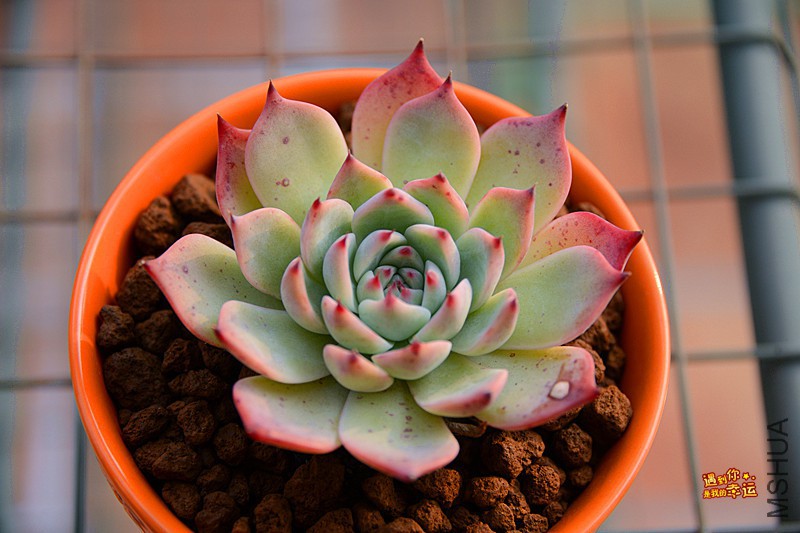 ��Ƭ 584_����.jpg