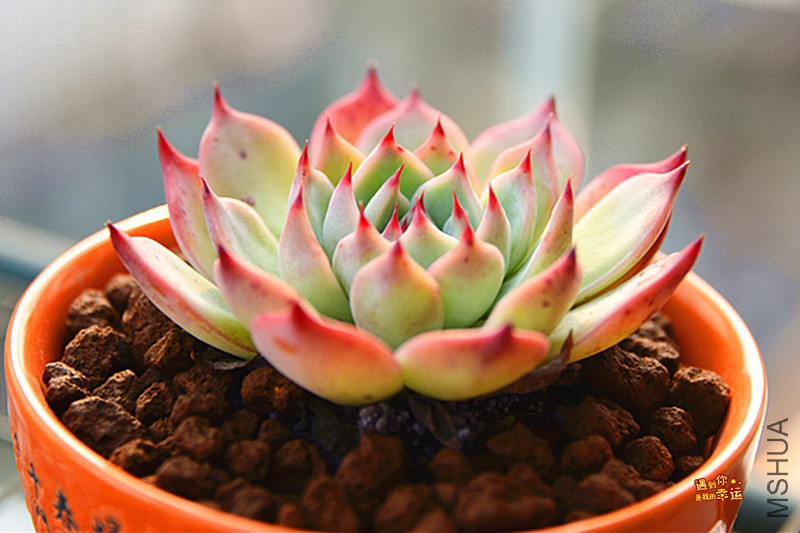 ��Ƭ 585_����.jpg