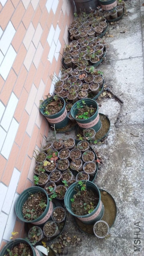 QQͼƬ20170309122256.jpg