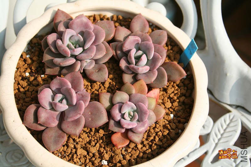 ��Ƭ 062_����.jpg