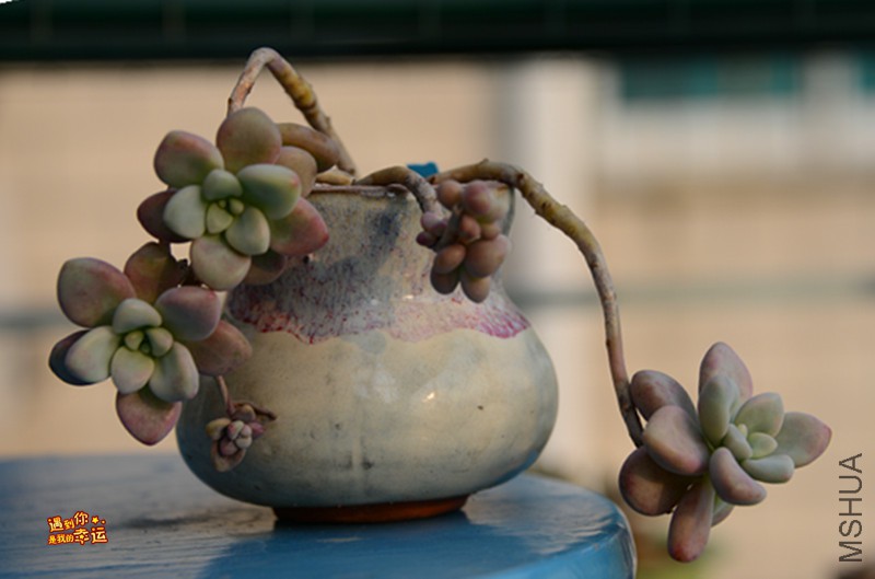 ��Ƭ 535_����.jpg