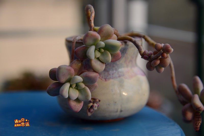 ��Ƭ 537_����.jpg