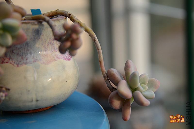 ��Ƭ 540_����.jpg