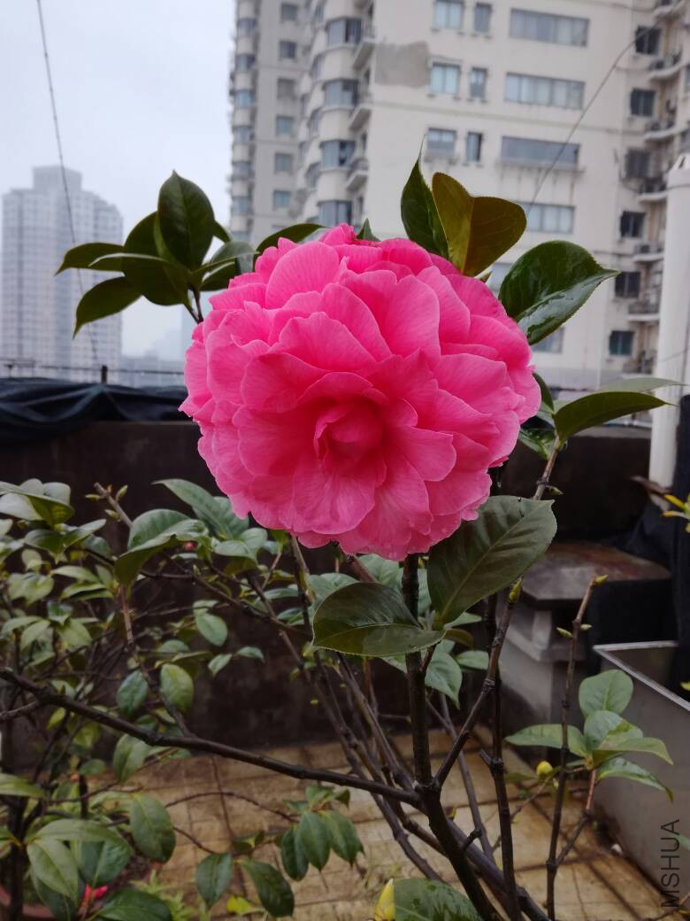 111540q6l456x1xge1exlq.jpg