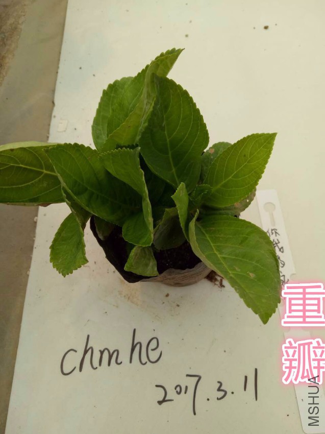 716264834742963527_meitu_3.jpg