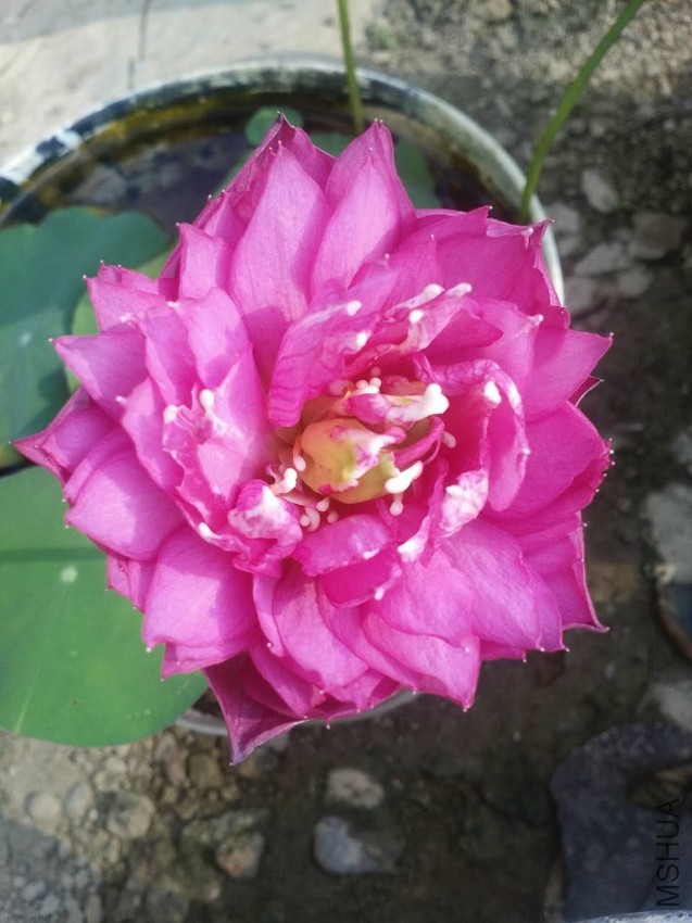 142396227907445616.jpg