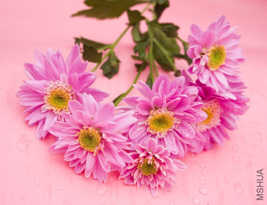 16�꿪��Ů��13