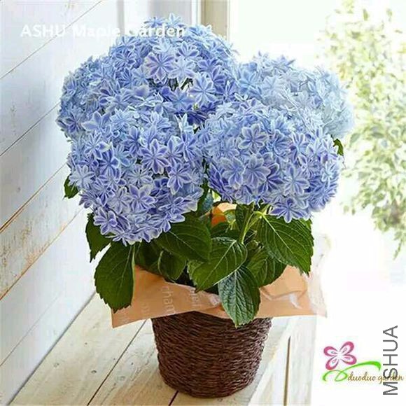 a7caf0dcd100baa1adf36ee34e10b912cafc2e85.jpg