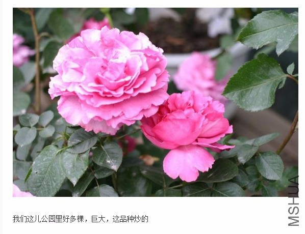 snap_screen_20170314152114_����.jpg