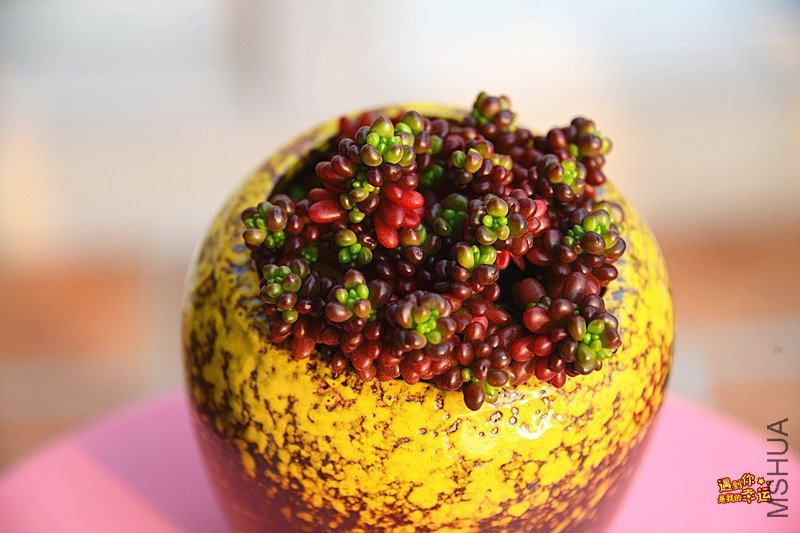 ��Ƭ 543_����.jpg