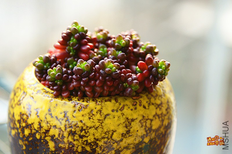 ��Ƭ 545_����.jpg