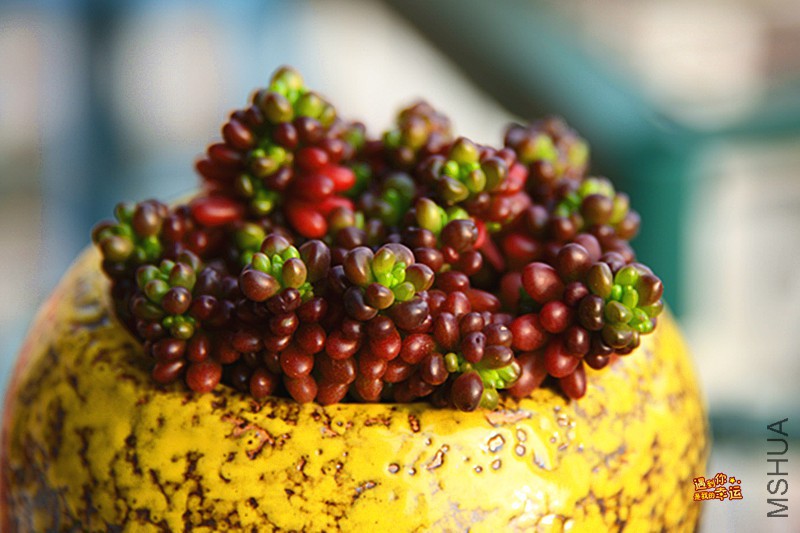 ��Ƭ 547_����.jpg