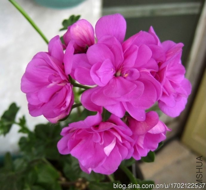 001RbVVLgy6EGpL6cWD83&amp;690.jpg