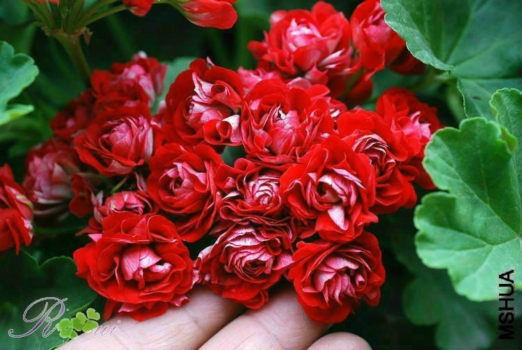 090344w2rbrksar9t5zlot.jpg