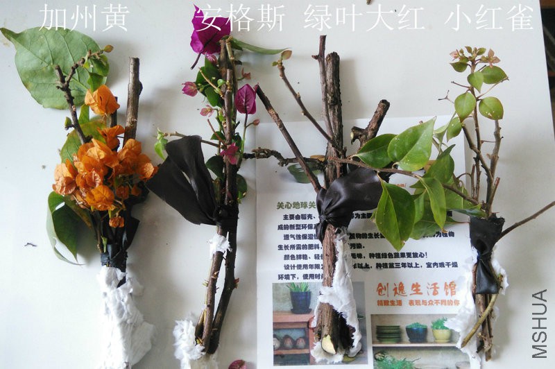 小三03.jpg