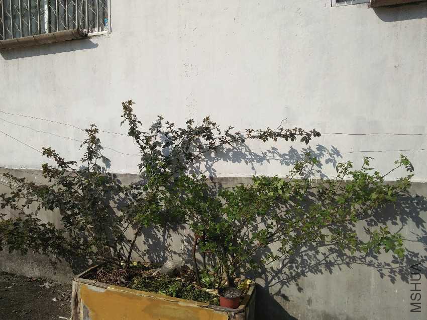IMG20170315085609.jpg