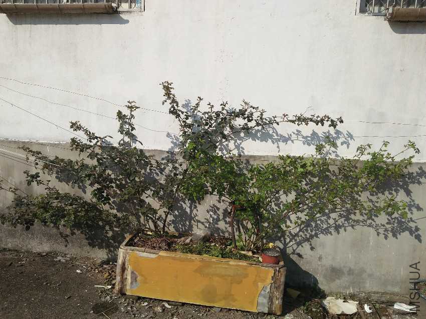 IMG20170315085430.jpg