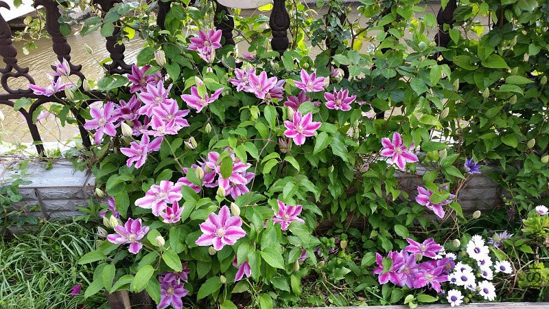 img001.jpg