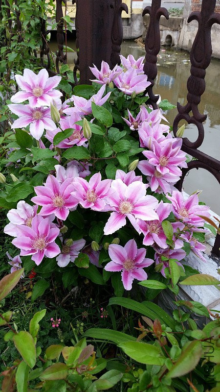 img004.jpg