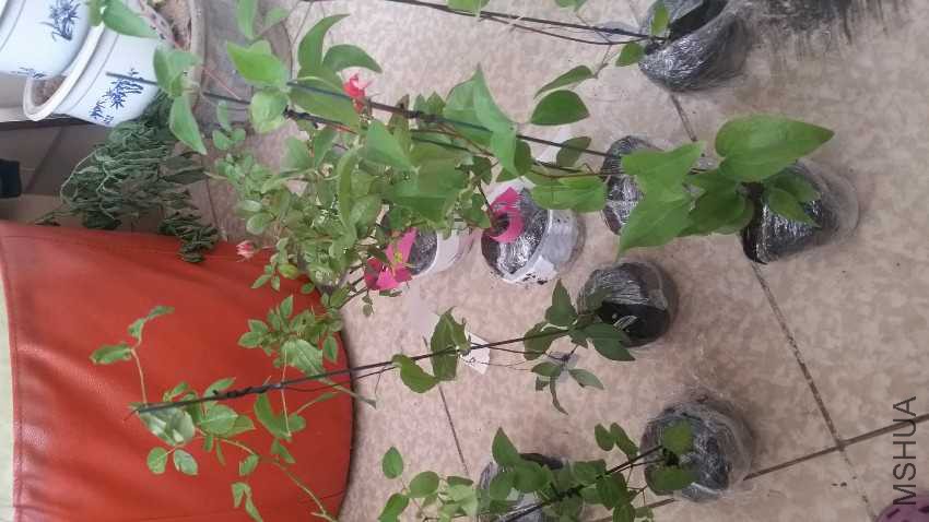 20161016_155909.jpg