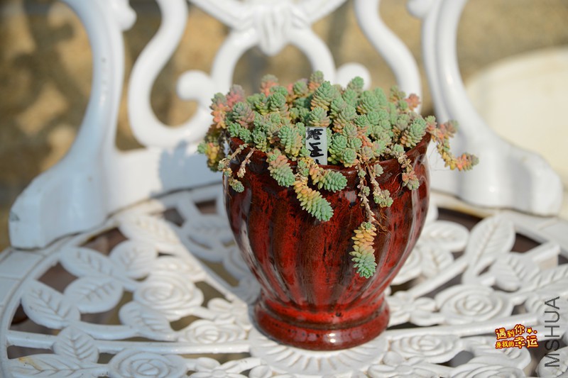 ��Ƭ 103_����.jpg