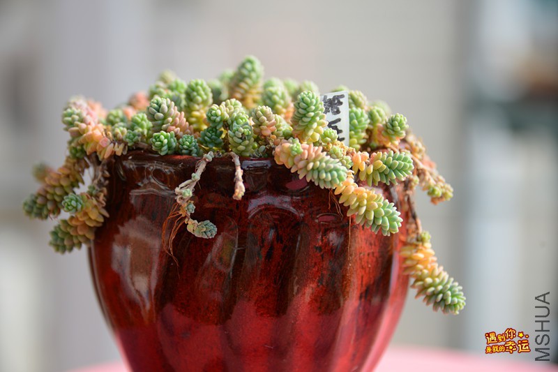 ��Ƭ 107_����.jpg