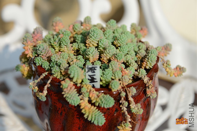 ��Ƭ 106_����.jpg